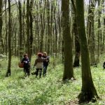 Jaskanski penzići u potrazi za medvjeđim lukom