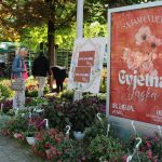 Cvjetna Jaska ispunila grad bojama, mirisima i bogatim programom