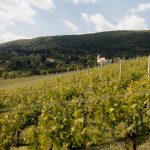 Jastrebarsko i Plešivica u velikim svjetskim medijima